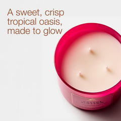 Bath & Body Works tapa decorativa de Cactus Blossom, conserva fragancia y decora