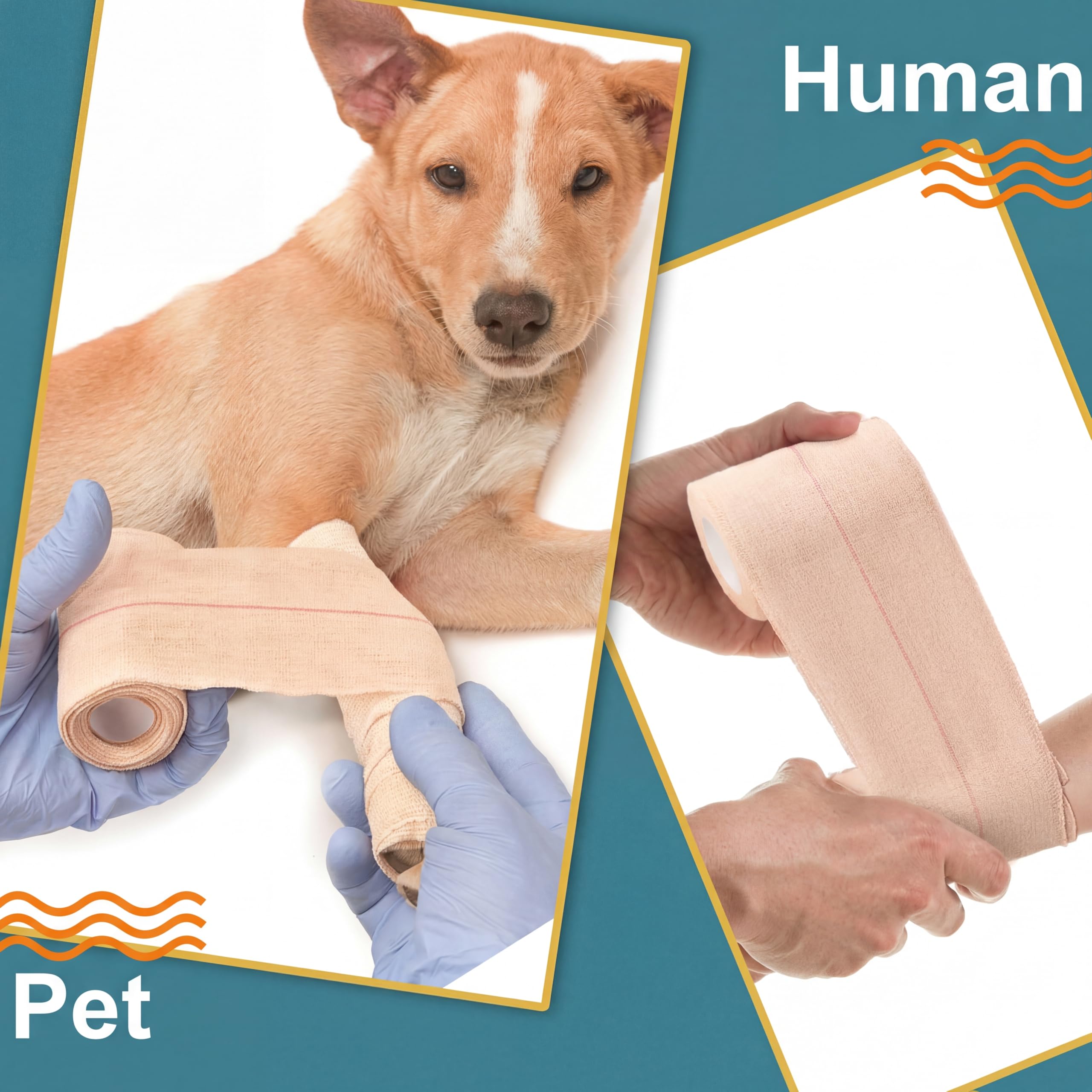 BBTO vendaje en perro protegiendo una herida y facilitando movimiento