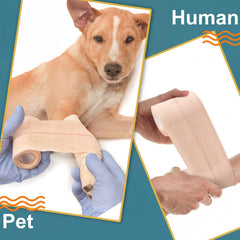 BBTO vendaje en perro protegiendo una herida y facilitando movimiento