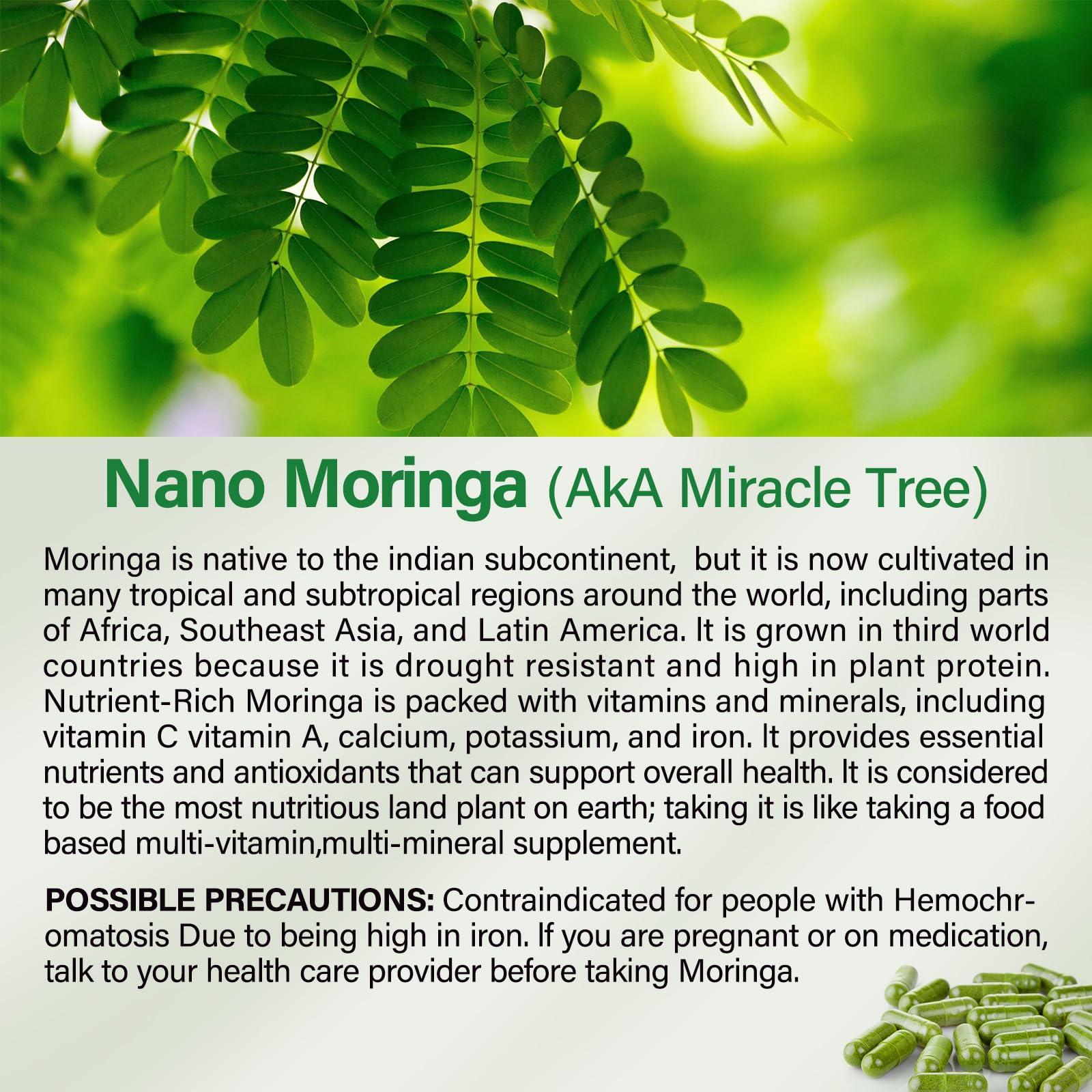 Bcuelov moringa frasco abierto con cápsulas listo para consumo diario