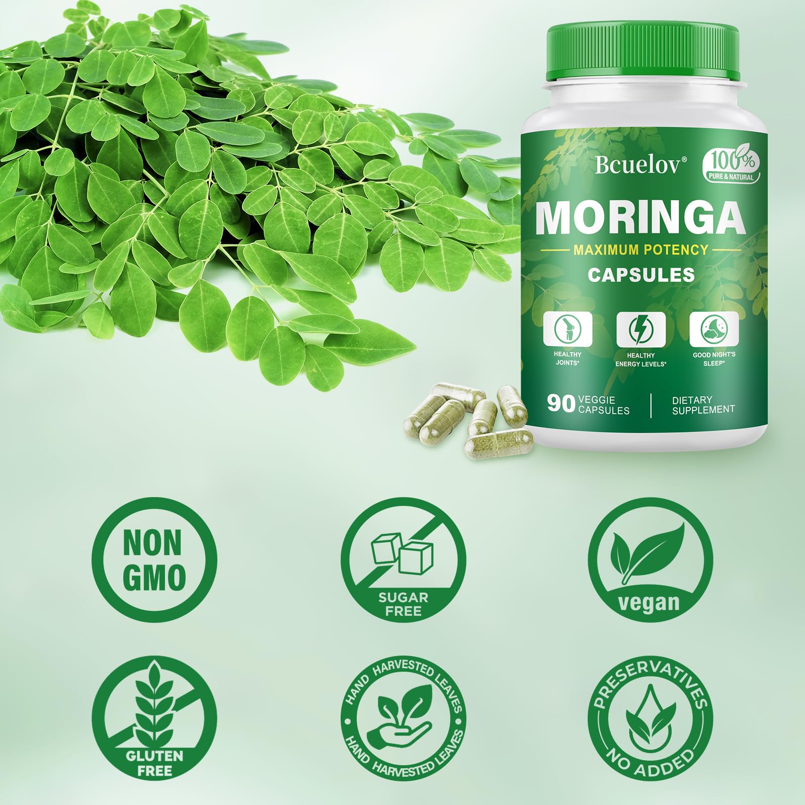 Bcuelov moringa comparación tamaño con monedas indica porción real