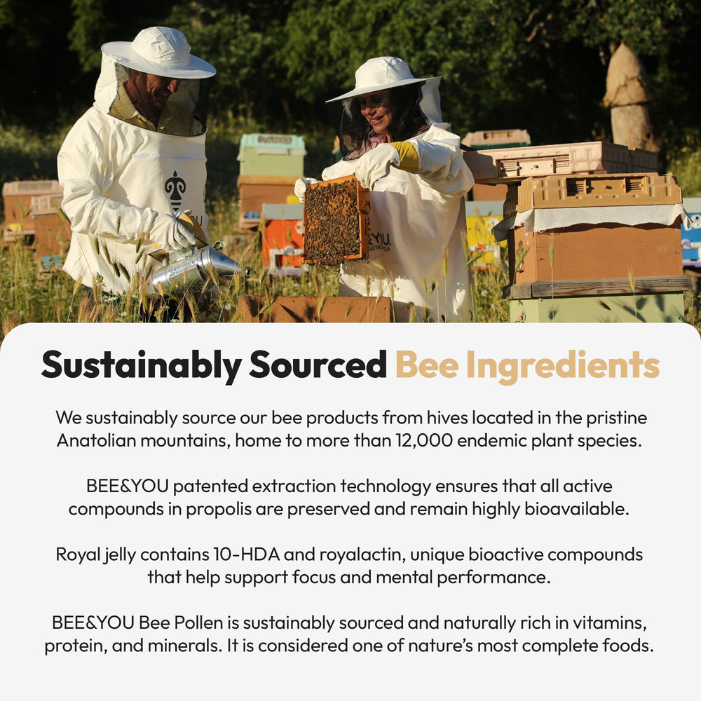 BEE & YOU colmenas en Anatolia mostrando origen sostenible