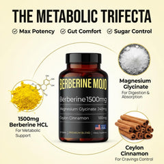 Berberine Mojo tabletas cerca mostrando forma fácil de tragar y dosificación