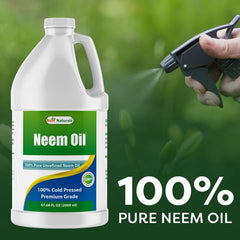 Best Naturals aceite de neem aplicado en cabello diluido para nutrición