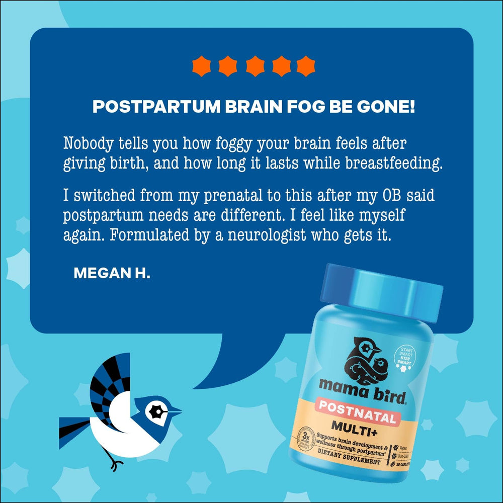 Best Nest Wellness ilustración de probióticos y enzimas indicando apoyo digestivo y absorción