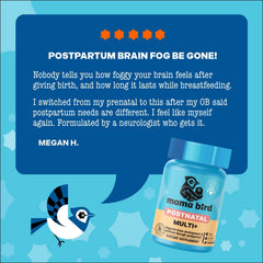 Best Nest Wellness ilustración de probióticos y enzimas indicando apoyo digestivo y absorción