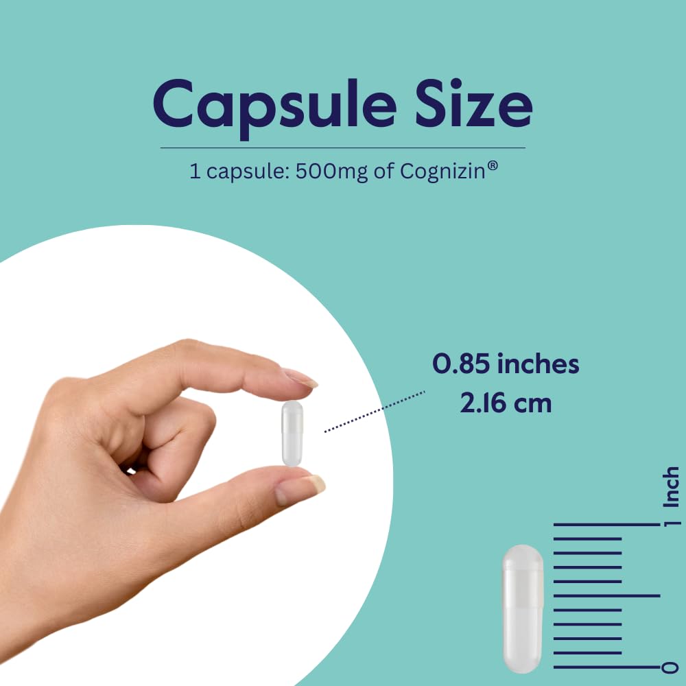 BESTVITE etiqueta nutricional en primer plano, destaca ingredientes y dosis