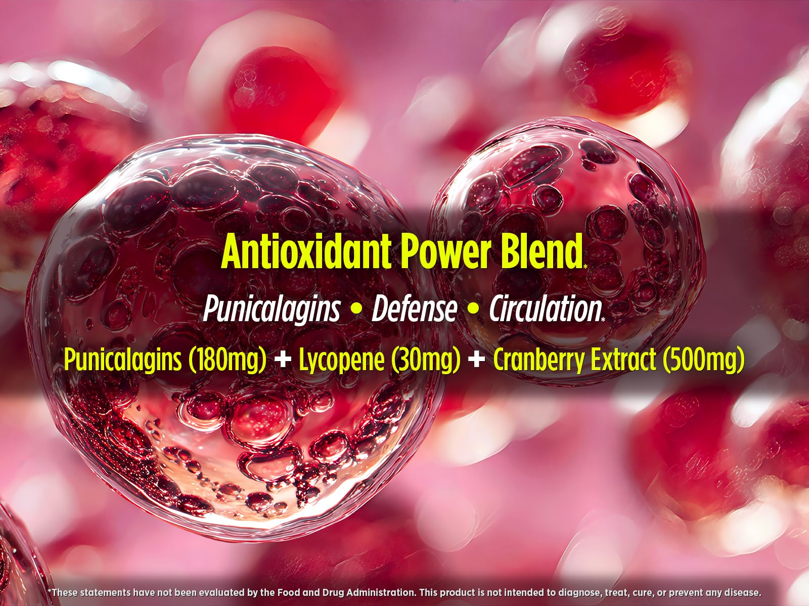 Biotest P-Well arándano 500 mg, extracto para apoyo urinario diario