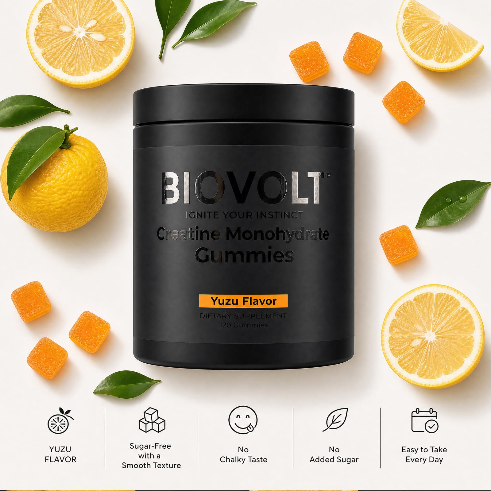 Comparación de tamaño BIOVOLT junto a monedas para escala y transporte fácil