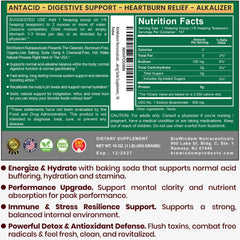 Detalle del polvo de BioWisdom Nutraceuticals en textura fina, beneficio sin aditivos ni metales
