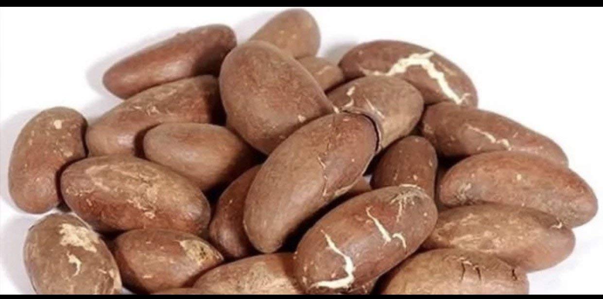 Bitter Kola Nut paquete frontal mostrando semillas, conserva sabor intenso