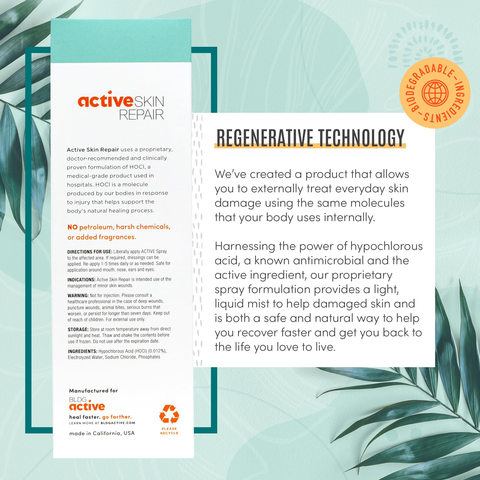 BLDG ACTIVE etiqueta con ingredientes y beneficios visibles