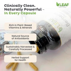 B'Leaf Nature ingredientes vegetales como berberis y semilla de uva