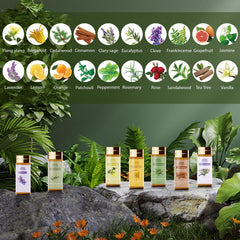 BlissfulBlend botellas ámbar 5ML protegidas que mantienen aromas puros