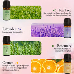 BlissfulBlend aceite en difusor para aroma constante y agradable