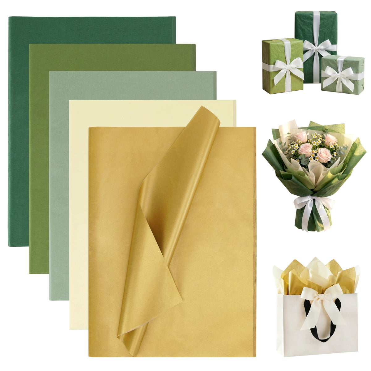 Bobobag paquete frontal con colores verde y dorado, aspecto profesional y cuidado