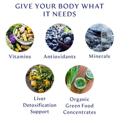 BodyHealth etiqueta con la lista de ingredientes y formas biodisponibles