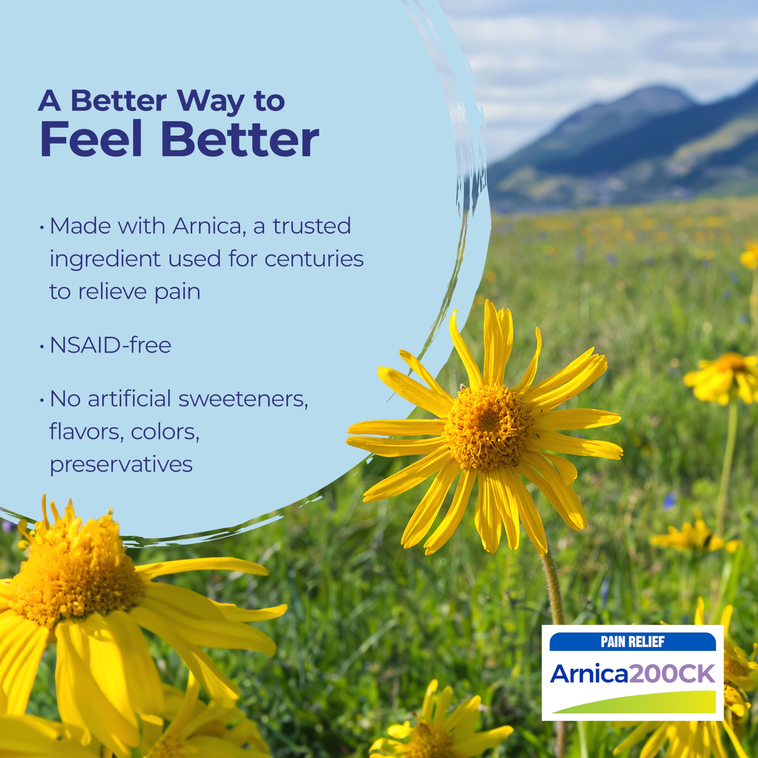 Boiron Arnica Montana primer plano de pellets para apreciar textura y pureza