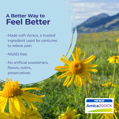 Boiron Arnica Montana primer plano de pellets para apreciar textura y pureza