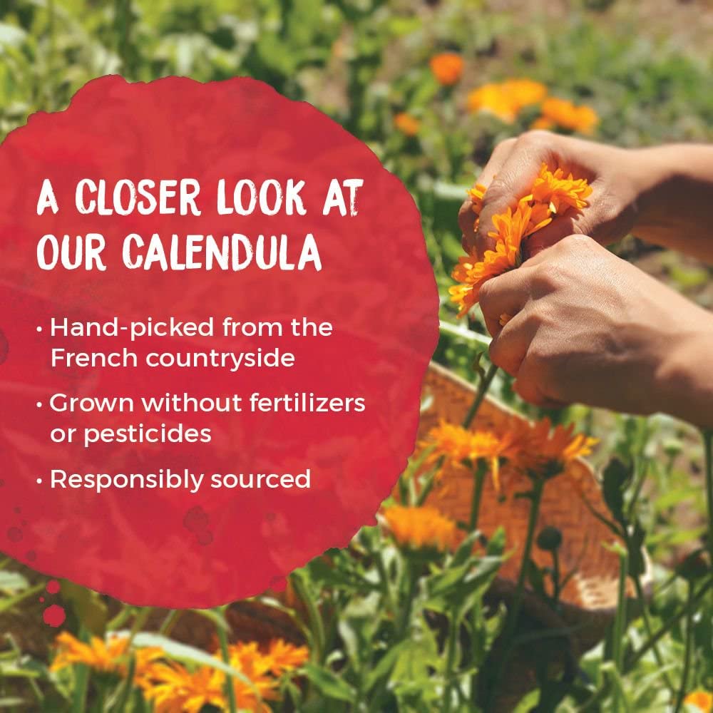 Boiron calendula uso en bebé en ambiente doméstico para cuidado suave