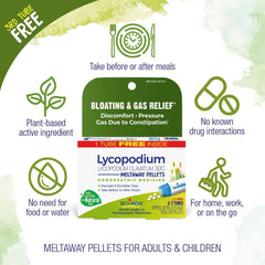 Boiron pellets vista de cerca textura y fácil disolución sublingual