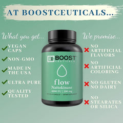 BoostCeuticals polvo de nattokinasa fermentada detalle de pureza y origen