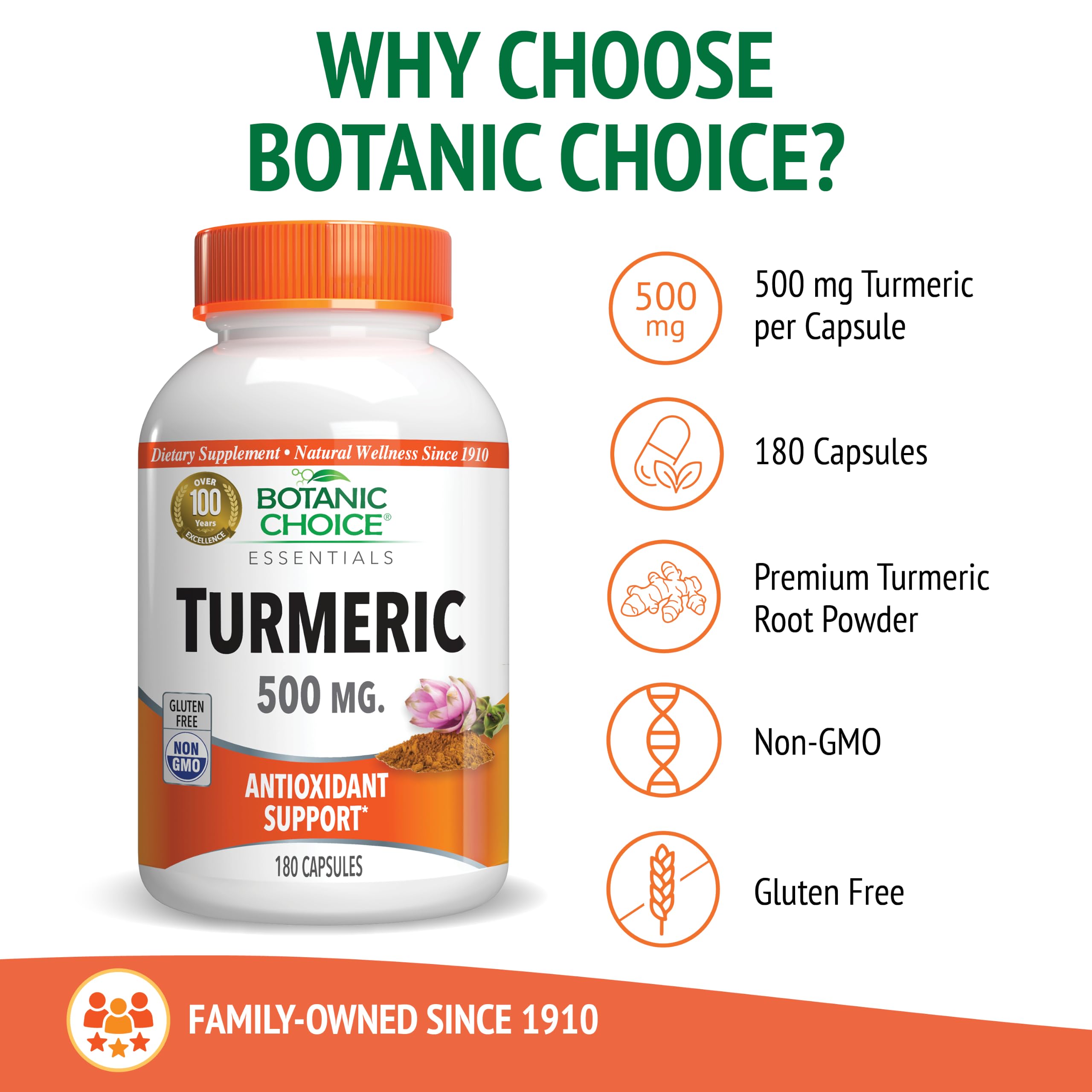 Botanic Choice polvo de cúrcuma en detalle, muestra pureza y textura natural