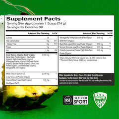 BARE PERFORMANCE NUTRITION polvo textura cercana que destaca mezcla fina