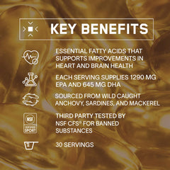 BARE PERFORMANCE NUTRITION cápsulas en mano para comparar tamaño y dosificación precisa