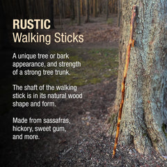 Brazos bastón junto a regla y persona, muestra escala real
