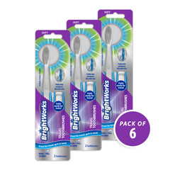 BrightWorks cepillo en neceser de viaje listo para uso fuera de casa
