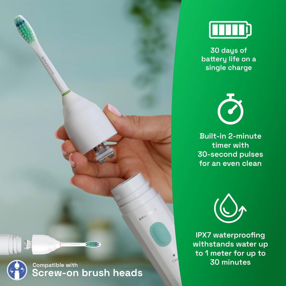 Brushmo estuche de viaje abierto con cepillo y cabezales para transporte seguro y organizado