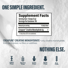 Cucharada con 5g de BUBS Boost Creapure® mostrando la dosis estándar para entrenamientos