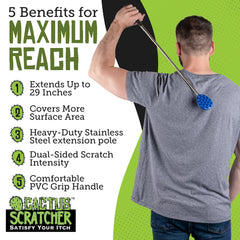 Cactus Scratcher plegado en bolso, portátil para llevar a todas partes