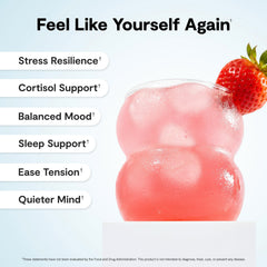 Calming Co. Ü Relax sobre abierto destacando facilidad de transporte y uso