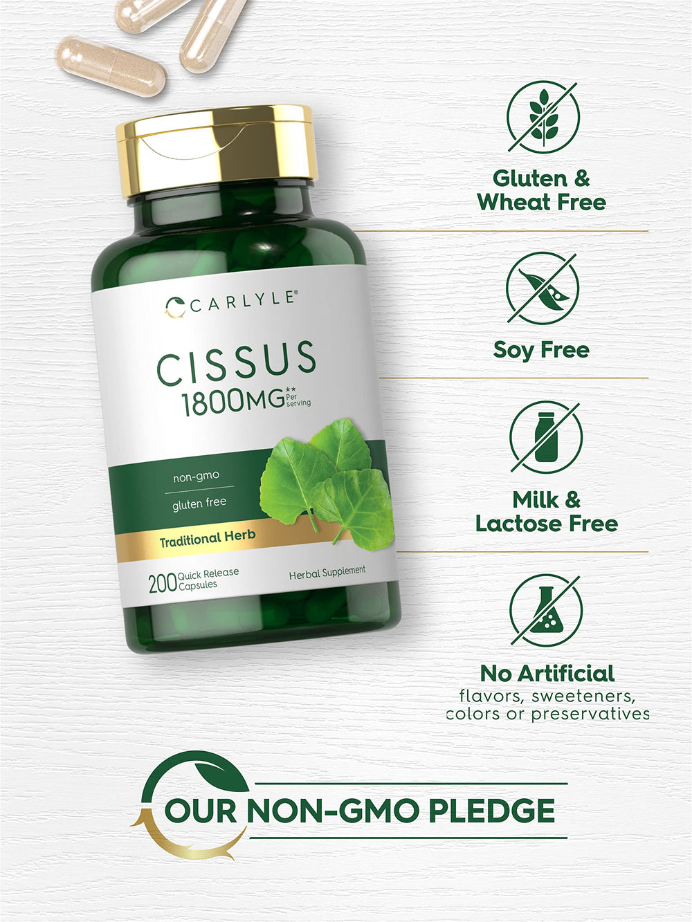 Carlyle hoja de Cissus fresca, ilustrando origen vegetal natural