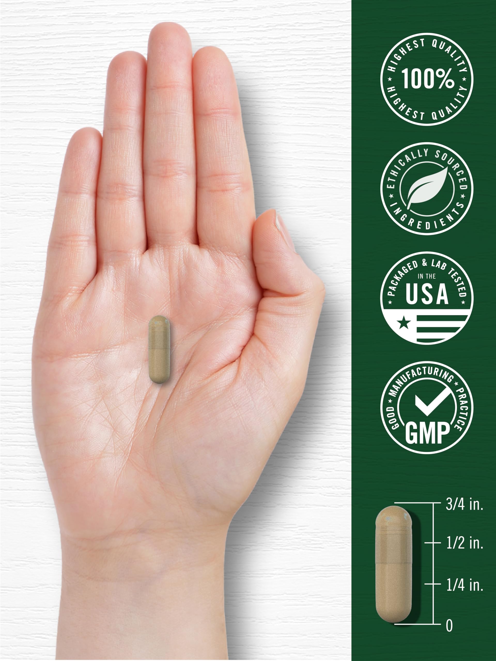 Carlyle producto en entorno de bienestar que sugiere integración diaria