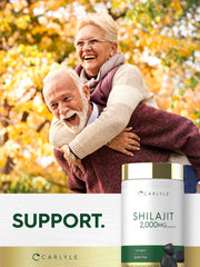 Carlyle representación de shilajit y fuente montañosa del Himalaya