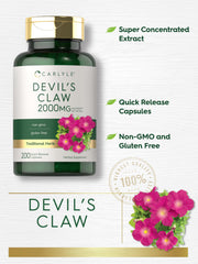 Carlyle primer plano de la raíz de Devil's Claw mostrando origen natural