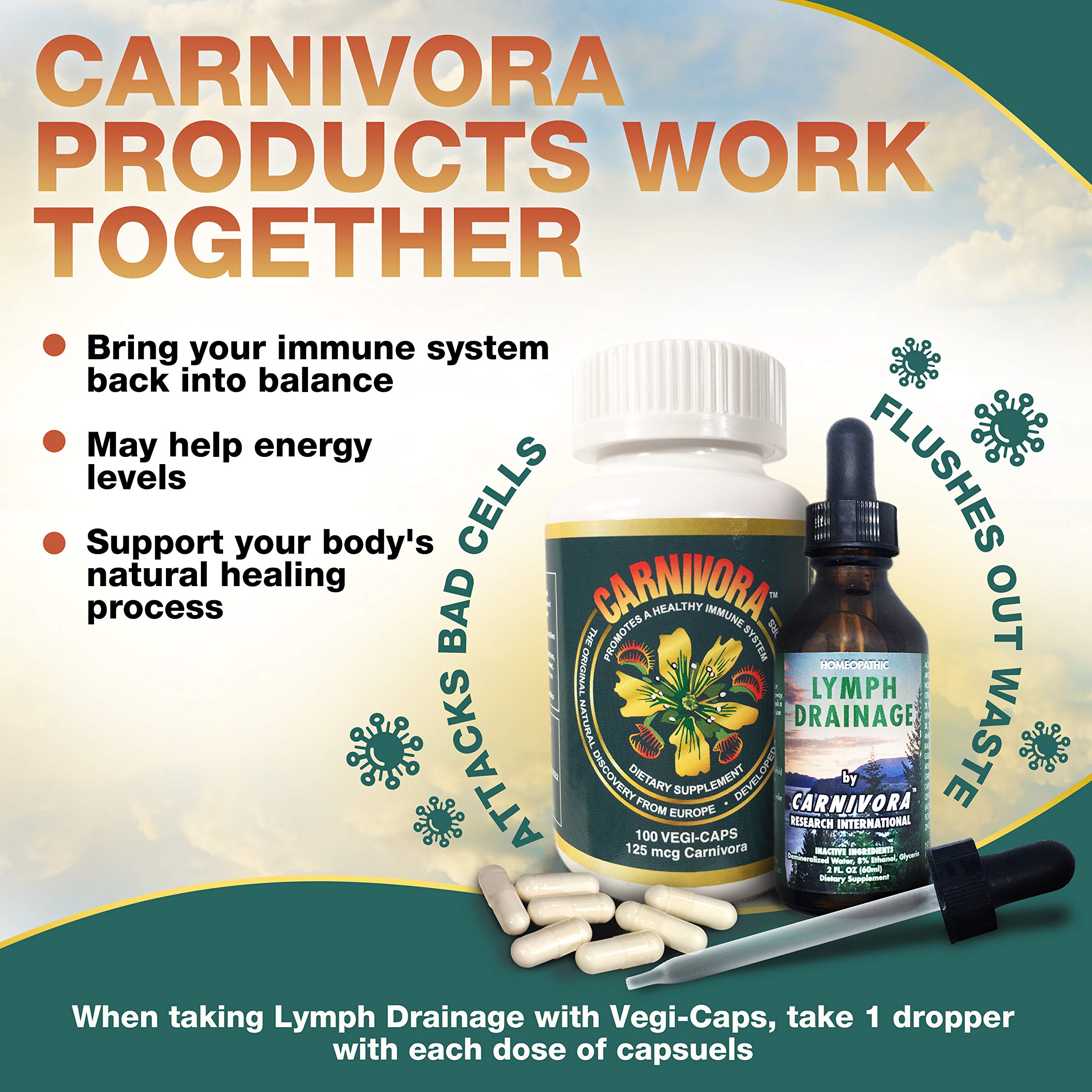 Carnivora etiqueta principal con información de ingredientes limpios