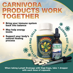 Carnivora etiqueta principal con información de ingredientes limpios