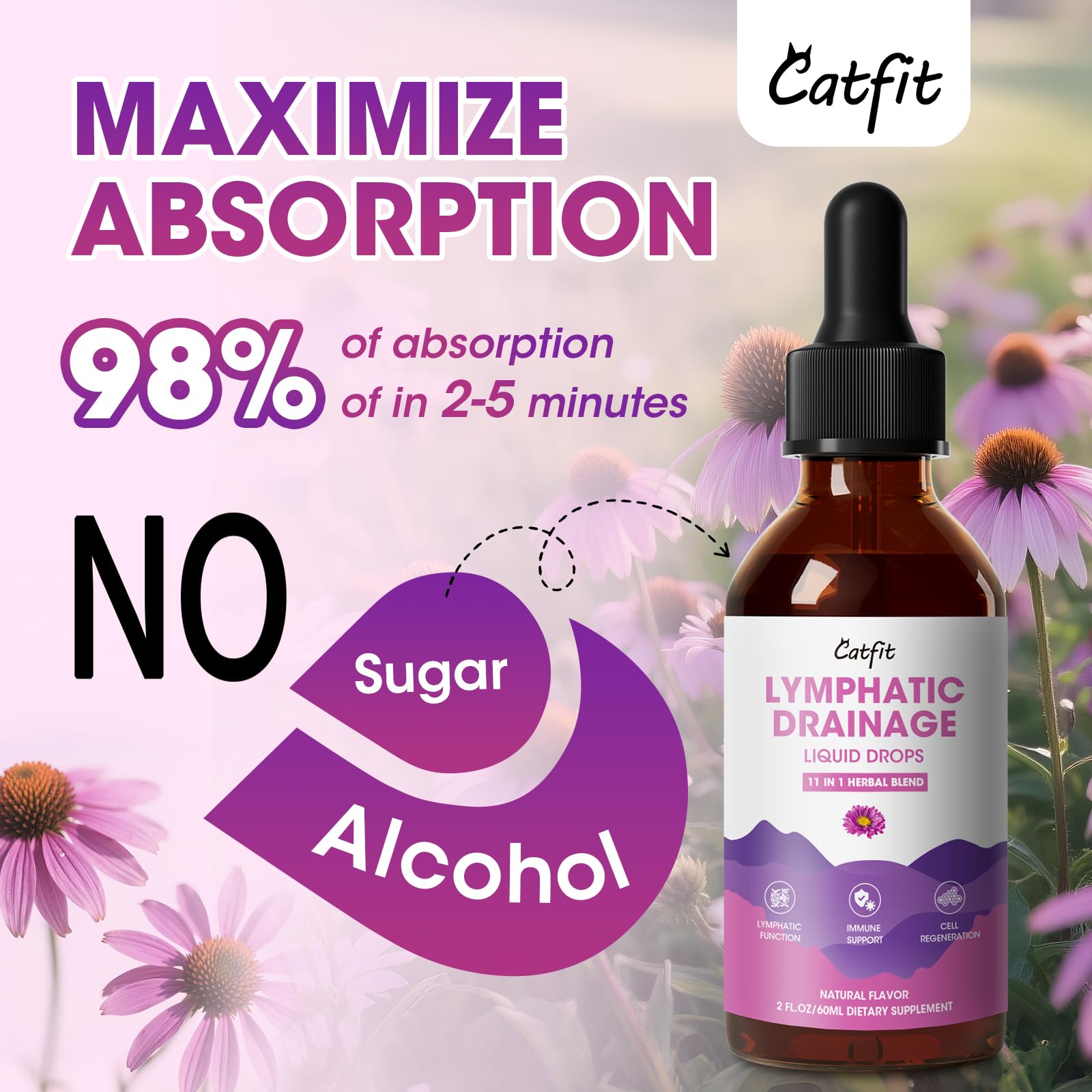 Catfit comparación de tamaño con regla para referencia de 60 ml