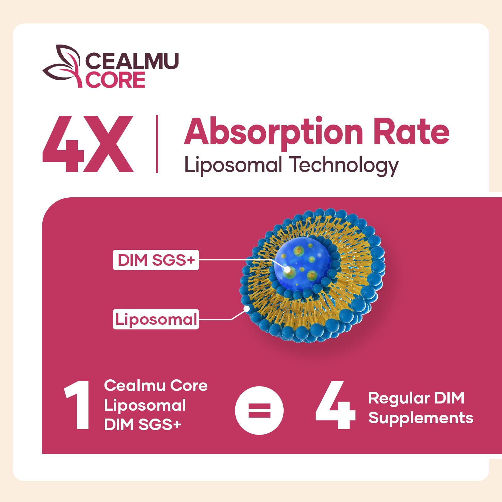 CEALMU CORE cápsulas desplegadas para visualizar el contenido del frasco