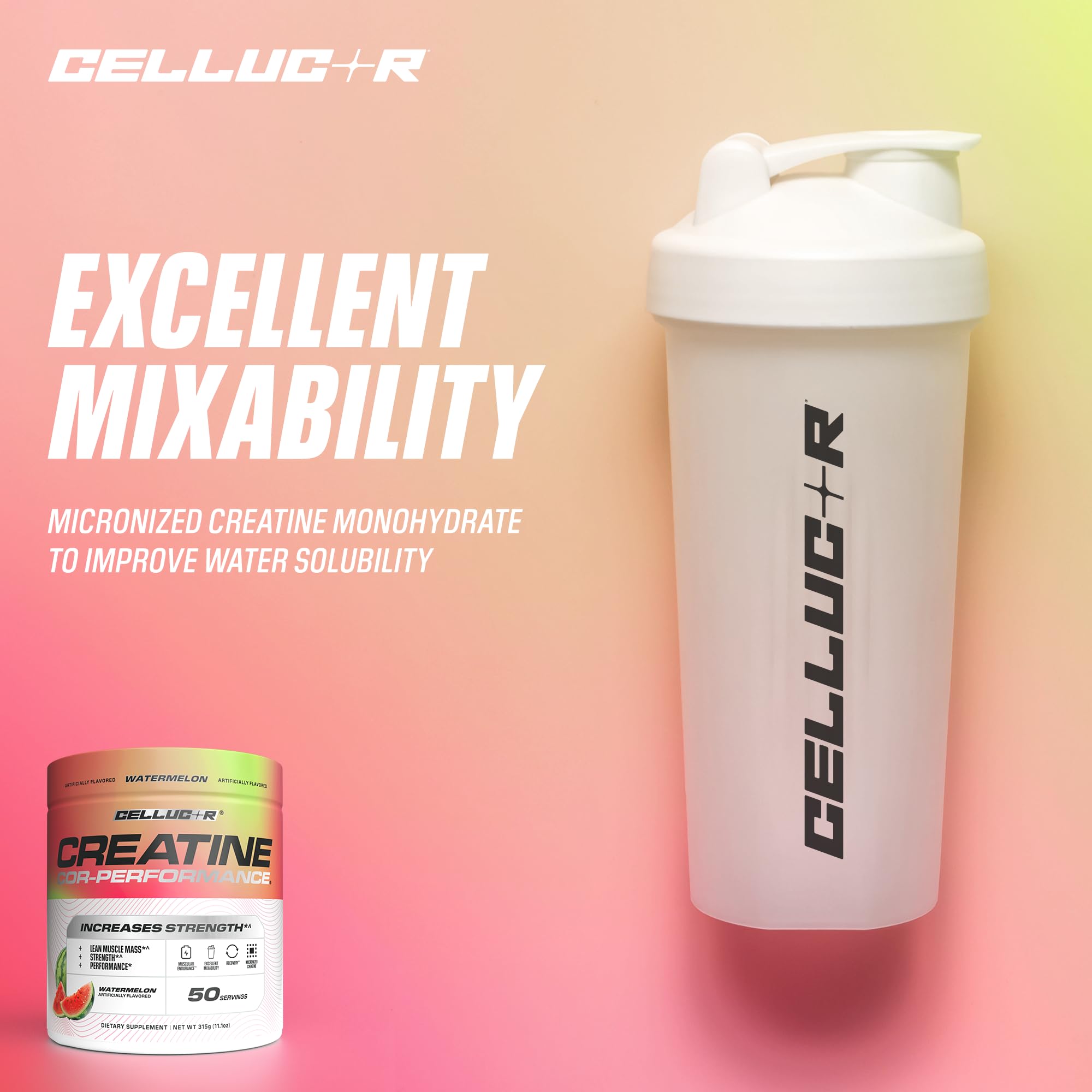 Cellucor envase junto a una regla para mostrar tamaño y cantidad prácticos