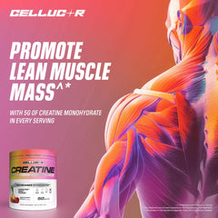 Cellucor etiqueta con información de ingredientes y dosificación clara