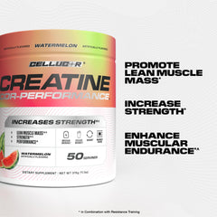 Cellucor polvo micronizado de creatina con textura fina y mezcla mejorada