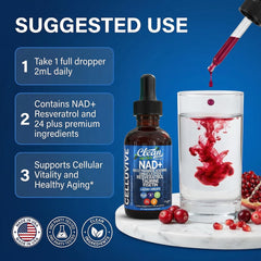 Clean Nutraceuticals mezcla de extractos naturales destacando antioxidantes