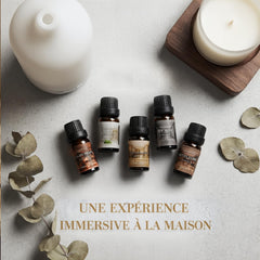 Chanhyer difusor ultrasónico en funcionamiento con aceite aplicado para ambiente