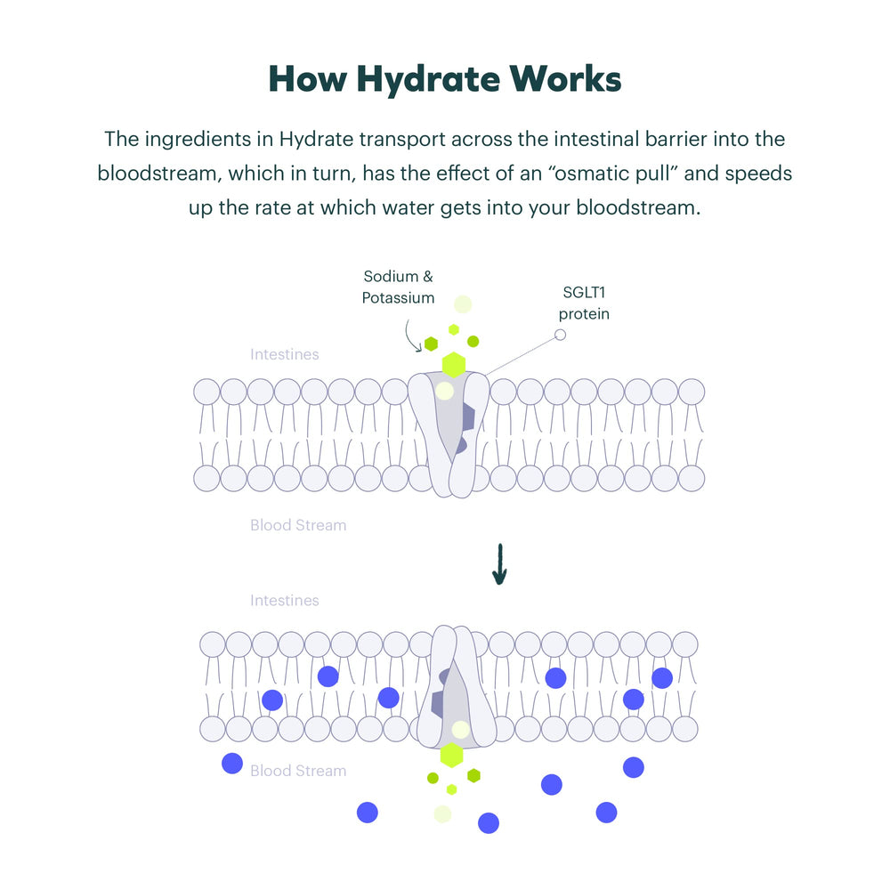 cheers hydrate polvo textura y disolución rápida para rehidratación efectiva