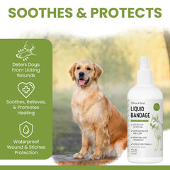 Chew + Heal Labs aplicación en pata de perro demostrando uso sencillo